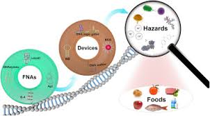 Fenway park offers a relatively liberal bag policy compared to other stadiums throughout the us. Recent Advances On Functional Nucleic Acid Based Biosensors For Detection Of Food Contaminants Sciencedirect