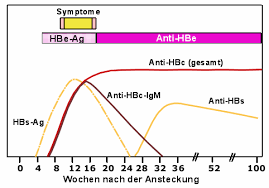1/100.000 pro jahr (stand 2014). Labordiagnostik Der Hepatitis B Ubersicht