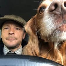 Edward Coles (@eddcoles)