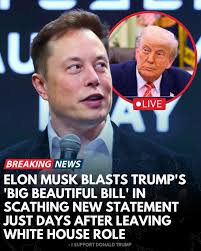 I Support Donald Trump