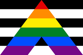 The straight flag was actually a reactionary flag to that of the lgbtq pride flag. Sexuality Flags Lgbt Symbols The Ultimate Pride Guide