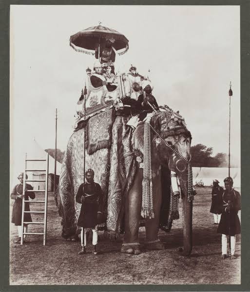 March of the Mammoth, the Indian elephant's story - Sarmaya