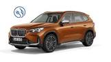 BMW-X