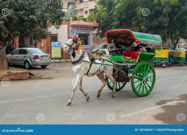 A Shared Horse Pulled Taxi in Agra, India Editorial Photography - Image of asian, action: 140186047