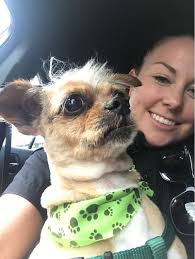 We're proud to report that thanks to the keen observation skills of Cst.  Brock & Cst. Lu in the #DTES, they located Jackson the dog, who was #stolen  from #NewWest. Cst. Brock