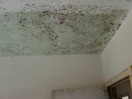 2 in textiel dat vochtig is of is schimmel op de muur in huis is erg vervelend en schadelijk voor je gezondheid dus dat is alle reden. Maak Komaf Met Schimmel In Nieuwbouw