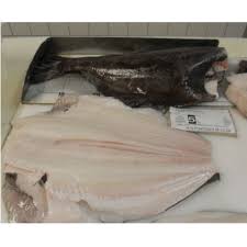 I worked at a lodge just up river from unalakleet, ak! Bqf Freezing Norway Seafrozen Hg Halibut Fishing Body With Shelf Life 2 Years And Haccp Eec Certificate Buy Halibut Fishing Frozen Halibut Photos Norwegian Halibut Product On Alibaba Com