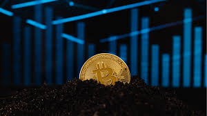 Start mining mining with cpu/gpu asic mining nicehash os profitability calculator mining hardware stratum generator miner stats profitability calculator. F9grqjleh9vrgm