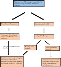 Image result for Small Intestinal Bleeding