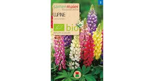 Inspired by the adventures of arsène lupin, gentleman thief assane diop sets out to avenge his father for an injustice inflicted by a wealthy family. Samen Maier Bio Lupine Mischung 1 Packung Bloomling Deutschland