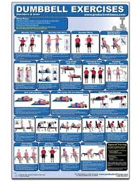 Particular Exercise Wall Chart Free Download Free Weights