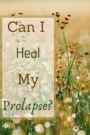 Can I Heal My Prolapse Pelvic Floor Exercises For Prolapse Pelvic Floor Exercises Bladder Prolapse