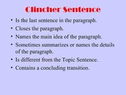 Understanding The Paragraph | Ppt
