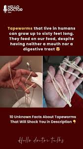 Image result for Beef Tapeworm