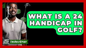 Image result for Handic 24