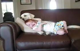 Baby Laughs Hysterically As Dog Pops Bubbles Videos Metatube