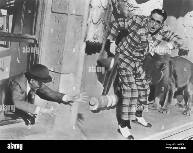 The sin of harold diddlebock harold hi-res stock photography and images -  Alamy