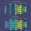 They are made up of neurons that have. 1