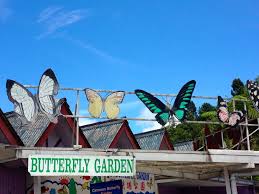 Hotell nära sam poh temple. Butterfly Farm Old Roots New Routes