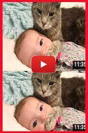 Baby And Cat Fun And Fails Funny Baby Video Funny Cat Videos Funny Baby Pictures Funny Cat Jokes