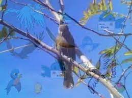 I don't have to worry. 1 2 3 Like A Bird I Sing Tim Mcgraw Youtube