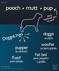 Dilo En Ingles On Twitter Distintas Formas De Decir Perro En Ingles Algo De Doggolingo Https T Co Yqlusnjptc Twitter