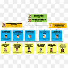 Hospital org chart examples org charting. Organigramma Bartender Bar Organizational Chart Hd Png Download 524x1024 882597 Pngfind