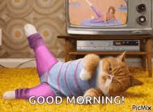 Check spelling or type a new query. Good Morning Cat Gifs Tenor