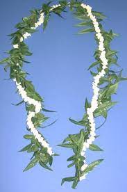 Check spelling or type a new query. Men Maile Pikake Flower Lei Jade Fashion Hawaiian Clothes And Gifts Store