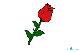 Rose drawing steps a digital co. How To Draw A Rose Easy Step By Step Guide