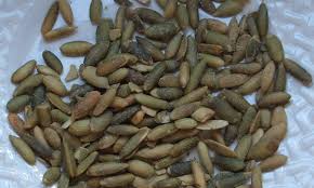 Ponete in una piccola ciotola il succo ottenuto e mettete in ammollo, per circa 10 minuti. Semi Di Zucca Tostati Senza Sale It