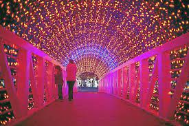 Rhema bible church is committed to providing a website that is accessible to the widest possible audience. Christmas Light Season Turns On Tonight With Rhema Event Lifestyles Tulsaworld Com