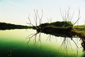 A man's body was found floating at tampines quarry on monday (4 may). Tampines Quarry Lake 2009 Lawypop Lomography