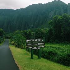 Ho Omaluhia Botanical Garden Oahu Hawaii Hawaii Adventures Oahu Hawaii Hawaii Vacation