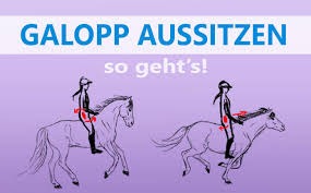 Freie kommerzielle nutzung keine namensnennung bilder in höchster qualität. Galopp Aussitzen So Bildest Du Eine Einheit Mit Deinem Pferd Herzenspferd