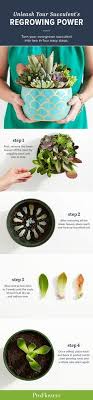 New Ideas From Christine Jane And More Plants Planting Succulents Succulents