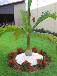 Resultado De Imagem Para Paisagismo Jardim Paisagismo Jardim Projetos De Quintal Projeto De Paisagismo