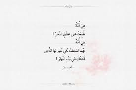 أبيات شعر هجاء عالم الأدب