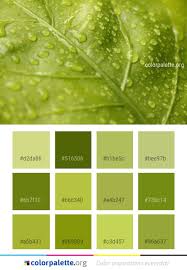 Water Green Leaf Color Palette Colors Inspiration Graphics Design Inspiration Beautiful Color Palette P Green Palette Green Colour Palette Color