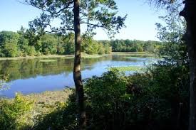 Mason neck state park is situated on a peninsula formed by pohick bay on the north, belmont bay on the south and the potomac river on the east. Kane S Creek Trail Eagle Spur Trail Mason Neck State Park Va Live And Let Hike
