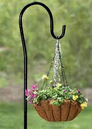 shepherd s hooks hanging a flower basket plants outdoor garden naked men seeds