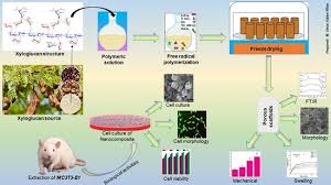 Kamal shah(@syed_kamal_shah_) в tiktok (тикток) | лайки: Polymers Free Full Text Development Of Polymeric Nanocomposite Xyloglucan Co Methacrylic Acid Hydroxyapatite Sio2 Scaffold For Bone Tissue Engineering Applications In Vitro Antibacterial Cytotoxicity And Cell Culture Evaluation Html
