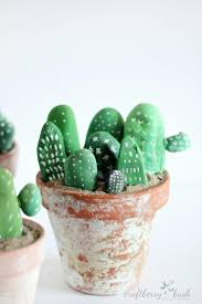 We did not find results for: Fioriere Con Piante Grasse Decorate Con Cusci Di Frutti Di Mare Fioriere Con Piante Grasse Decorate Con Cusci Di Frutti Di Questa Mini Fioriera Per Piante Grasse Cactus O
