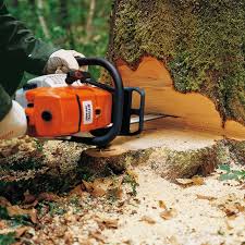 I still love my swedish boutique axes that i inherited from my dad. Ms 660 Very Powerful Extremely Fast Cutting Professional Chainsaw