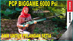 Sedangakn senapan pcp pun ada beberapa jenis dan tipenya, salah satunya senapan pcp mouser yang merupakan senapan yang dikhususkan untuk jarak yang jauh. Test Pcp Biggame Awm 6000 Psi Ada Yang Berbeda Kali Ini Penasaran Jadinya Youtube