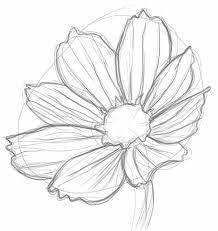 How to draw a flower step by step for kids easy. Flowers Drawing Drawn Flower Unique Flower Pencil And In Color Drawn Flower Shortperennial Realistic Flower Drawing Drawings Colorful Drawings