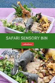 Pin On Sensory Play