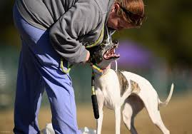 Thank you Connie and Katie for these AMAZING memories!!!