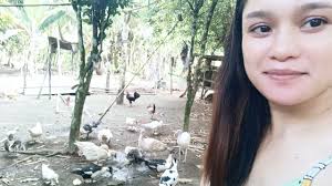 Does anyone know what these are?