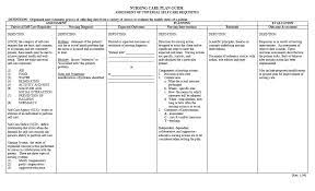 Nursing care plans help medical personnel and organizations know what specific medical and nursing care an individual or community needs. Nursing Care Plans Free Printable Blank Nursing Care Plan